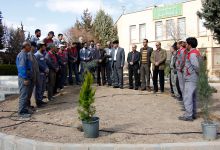 گزارش تصویری از آئیین درختکاری و تقدیر ازهمکاران فضای سبز دانشگاه